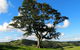 Maleny Springs Farm - thumb 32