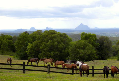 Maleny Springs Farm - Accommodation VIC 39