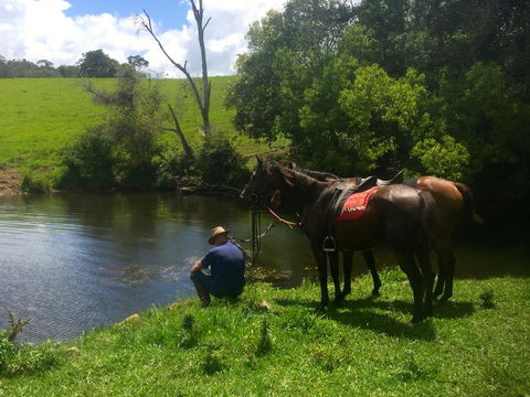 Maleny Springs Farm - Accommodation VIC 36