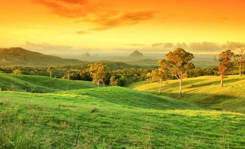 Maleny Springs Farm - Accommodation VIC 20
