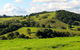 Maleny Springs Farm - thumb 0