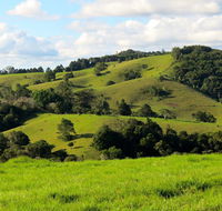 Maleny Springs Farm