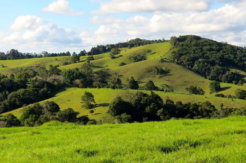 Maleny Springs Farm - Accommodation VIC 0