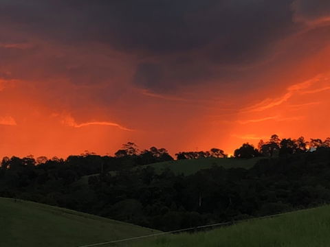Maleny Springs Farm - Accommodation VIC 6