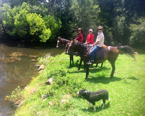 Maleny Springs Farm - Accommodation VIC 33