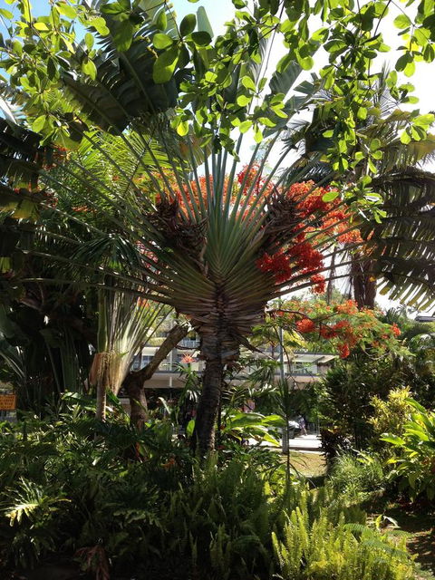 Port Douglas Apartments - Adults Only Oasis - Accommodation VIC 39