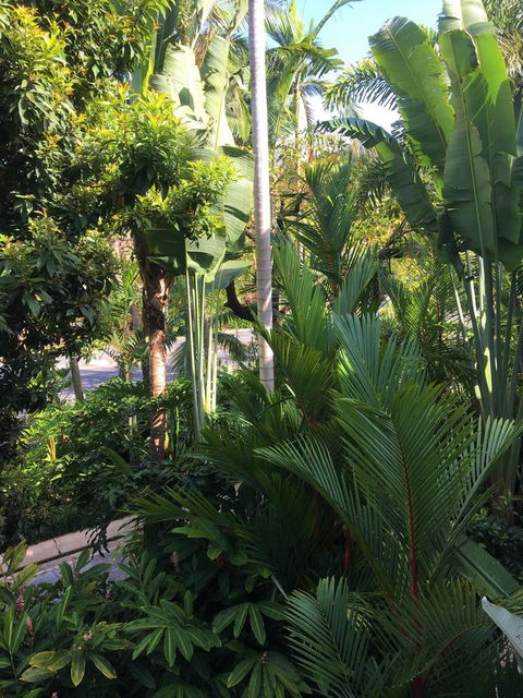 Port Douglas Apartments - Adults Only Oasis - Accommodation VIC 1