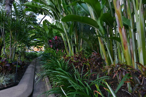 Port Douglas Apartments - Adults Only Oasis - Accommodation VIC 9
