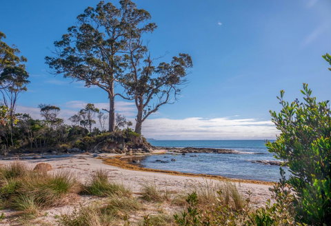Adventure Bay Holiday Home - Accommodation VIC 12
