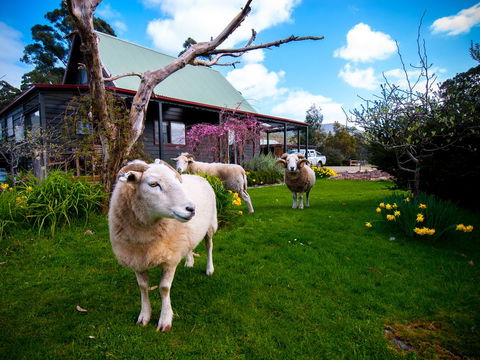 Parnella Adventure Bay, Bruny Island - Accommodation VIC 19