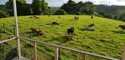Seasons Of Maleny B&B - Accommodation VIC 1