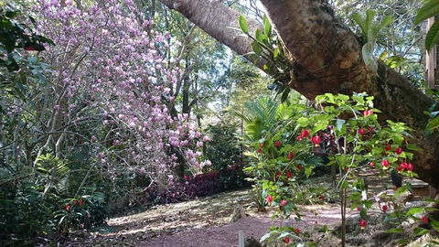 305 Montville - The Artist's Cottage - Accommodation VIC 3