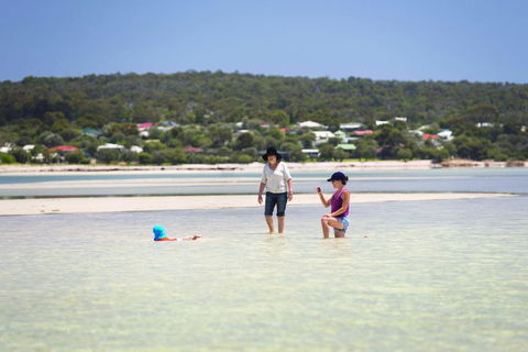 9 Marshall Street - Large Family Holiday Home Just Metres To The Beach - Accommodation VIC 0