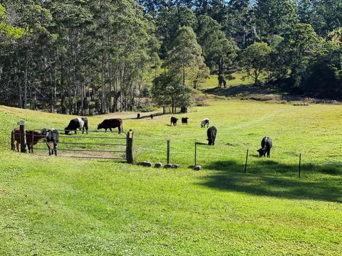 Fiery, Cozy Starry Nights - Farm Stay! - Accommodation VIC 2