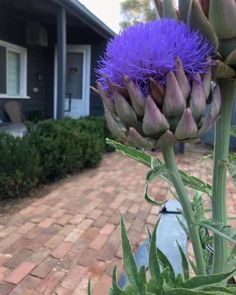 Fergusons Store - Accommodation VIC 3