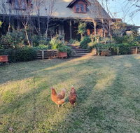 Angaston by the Winter Creek - Accommodation VIC