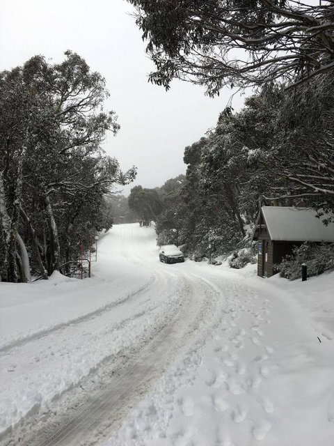 MAGNIFICENT SKIING ON MOUNT BULLER - Accommodation VIC 3