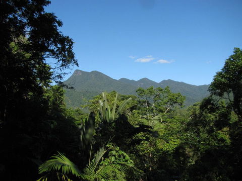 Mossman Gorge Bed And Breakfast - Accommodation VIC 0