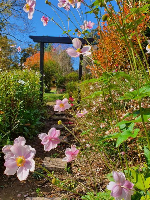 Oaktree Guest House - Accommodation VIC 3