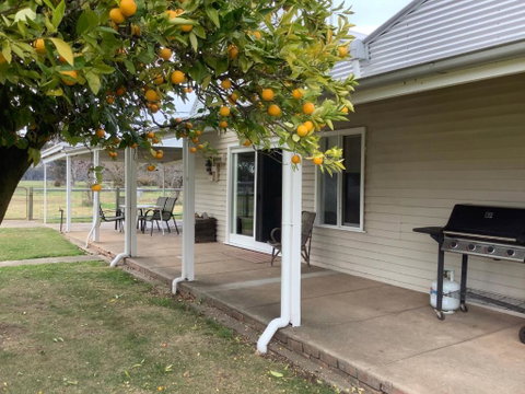 Orange Tree Cottage - Accommodation VIC 0