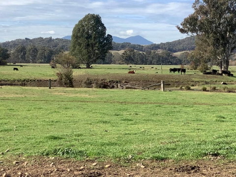 Orange Tree Cottage - Accommodation VIC 3
