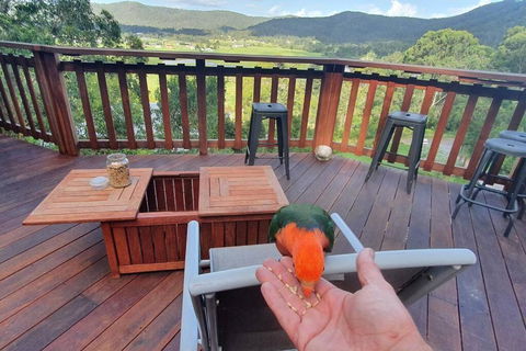 Paterson Skywalk - Accommodation VIC 3