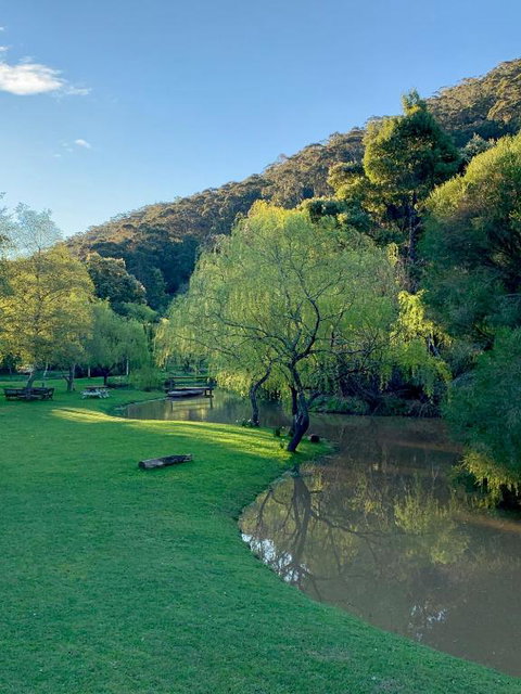 Pennyroyal Otways Retreat - Accommodation VIC 3