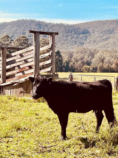 Peppercorns Riverside Farm Stay - Accommodation VIC 0