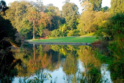 Perfect Parkside Princess Hill Retreat Sleeps 6 - Accommodation VIC 2