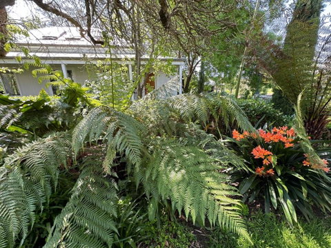 Petschel House - Accommodation VIC 3