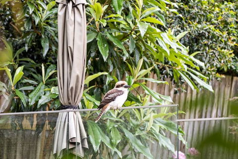 Quaint Queen Room - Central Location At Pymble - Shared Bathroom - Accommodation VIC 1