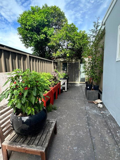 Private, Local Living Studio In Mascot, Airport - Accommodation VIC 2