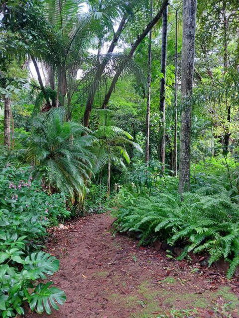 Rainforest Retreat-Fireplace-BBQ-3 Acres- - Accommodation VIC 0