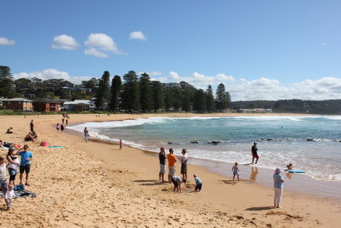 Avoca Beach Cape Cottage - Accommodation VIC 0