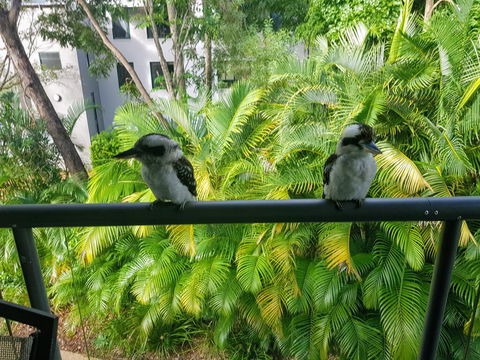 Baden 45 - Rainbow Shores, Beachside Unit, Aircon, Swimming Pool, Tennis Court - Accommodation VIC 3