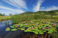 Barrington Hideaway- River Cottages