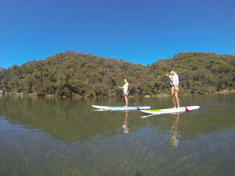 Basin Ku-ring-gai Campsite Set Up - Accommodation VIC 3