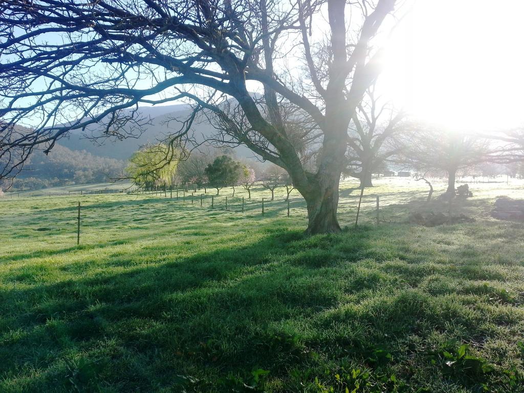 Mongans Bridge VIC Accommodation VIC