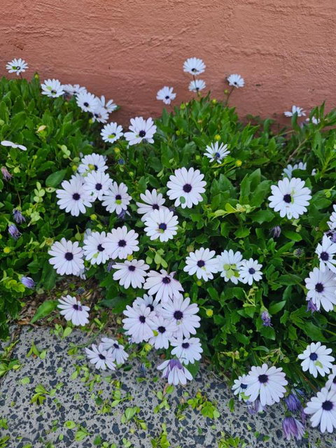 Reverie - Accommodation VIC 2