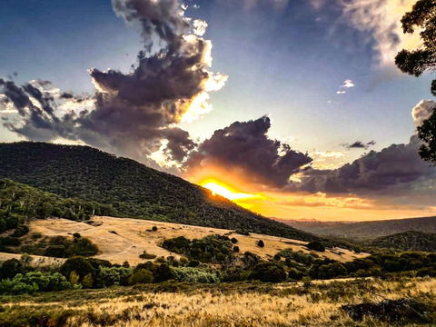 Roam Merrijig - Luxury Stay With Mountain Views - Foothills Of Mt Buller - Accommodation VIC 1