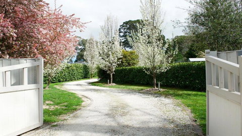 Robin Hill Manor - Accommodation VIC 2