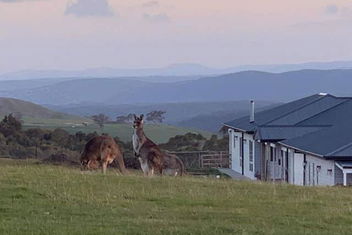 Rooks Edge with Accommodation VIC