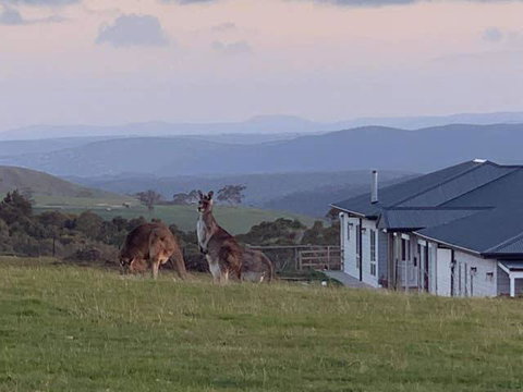Rooks Edge - Accommodation VIC 0