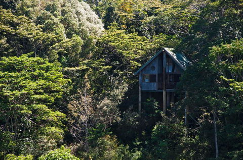 Rose Gums Wilderness Retreat - Accommodation VIC 1