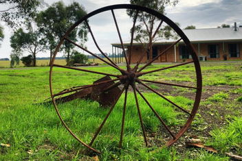 Ruby Rose with Accommodation VIC