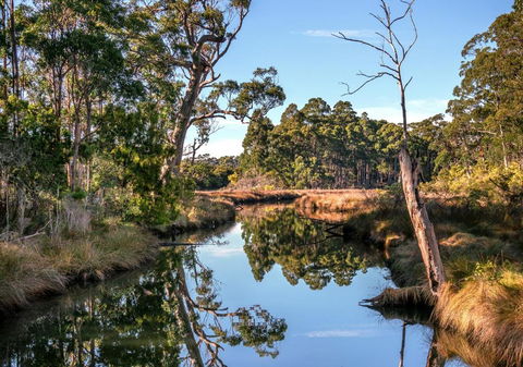 Saintys Creek Cottage - Accommodation VIC 3