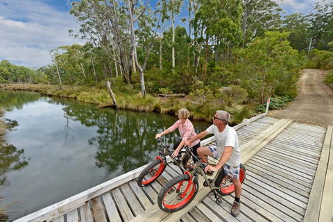 Saintys Creek Cottage - Accommodation VIC 2