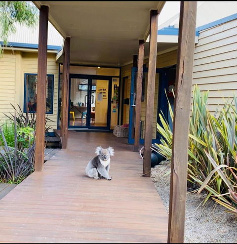Sandpiper Motel Apollo Bay - Accommodation VIC 3
