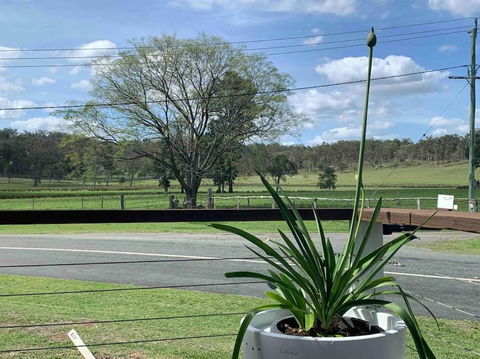 Scenic Rim Country Escape - Accommodation VIC 3