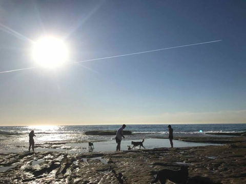 Tamarama Penthouse Ocean And Beach Views - Accommodation VIC 2